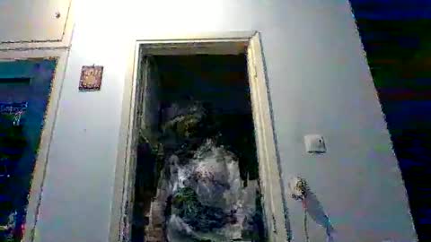 mppempis81 online show from 02/02/26, 08:40