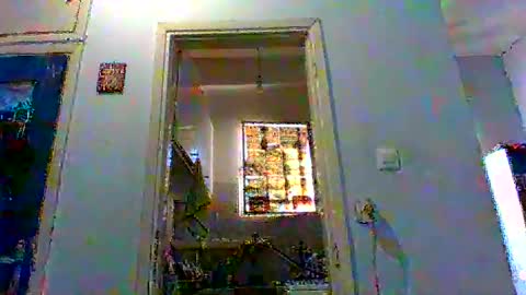 mppempis81 online show from 02/03/26, 06:40