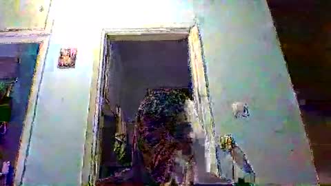 mppempis81 online show from 02/04/26, 08:25