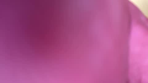 Snapshot of mr6ray chatting on 01/08/25, 03:40 mr6ray online show from 01/08/25, 03:40