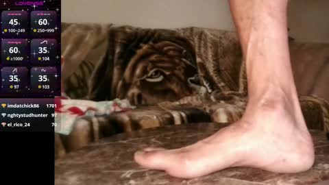 Snapshot of mr___good chatting on 12/09/24, 06:55 Mr. Good and Ms. Plenty online show from 12/09/24, 06:55