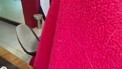 mr_atwood online show from 04/20/26, 04:32