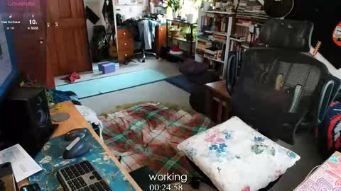 ninko online show from 02/13/25, 08:34