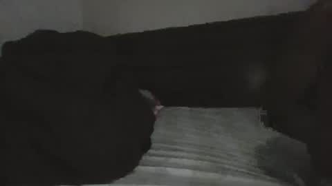 Snapshot of mr_hooked chatting on 11/18/25, 04:06 mr hooked online show from 11/18/25, 04:06