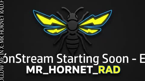 mr_hornet_rad online show from 04/27/26, 01:47