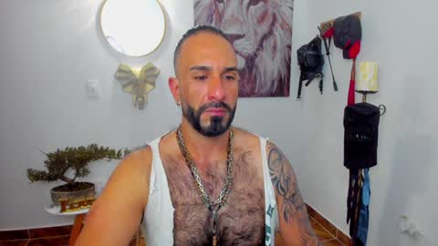 Snapshot of mr_maik22 chatting on 01/17/25, 09:39 mr_maik22 online show from 01/17/25, 09:39