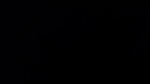 mrbillxxx online show from 04/14/26, 12:22