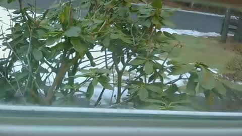 Snapshot of mrbrigggs chatting on 01/14/26, 12:11 mrbrigggs online show from 01/14/26, 12:11