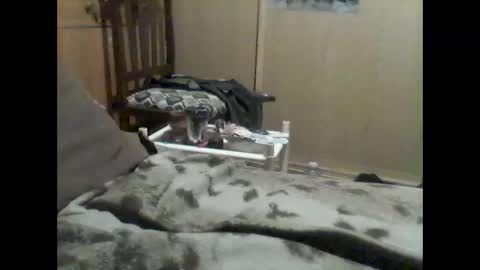 Snapshot of mrfumao chatting on 06/09/26, 12:33 mrfumao online show from 06/09/26, 12:33