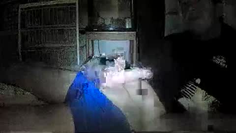 Snapshot of mrgray11xxx chatting on 12/08/24, 05:01 mrgray11xxx aussie online show from 12/08/24, 05:01