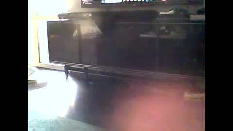 Snapshot of mrhandsomelovee chatting on 01/10/25, 12:15 Nikola online show from 01/10/25, 12:15