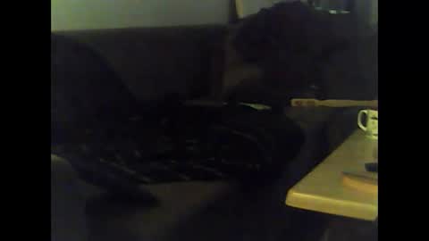 Snapshot of mrhandsomelovee chatting on 01/12/25, 12:01 Nikola online show from 01/12/25, 12:01