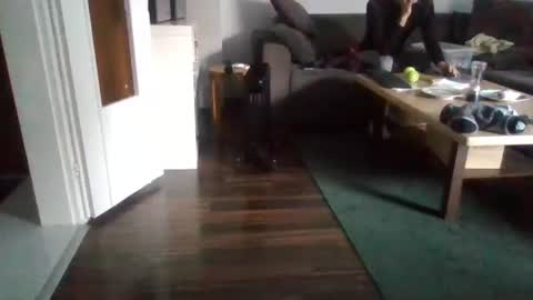 Snapshot of mrhandsomelovee chatting on 02/17/25, 11:02 Nikola online show from 02/17/25, 11:02