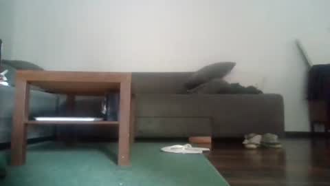 Nikola online show from 04/23/26, 09:08