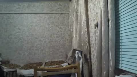 mrlike2020 online show from 12/03/25, 08:51