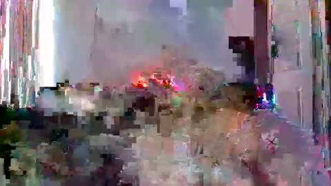 mrmountainman91 online show from 12/22/25, 05:54