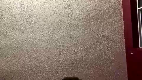 Angel online show from 01/19/26, 01:31