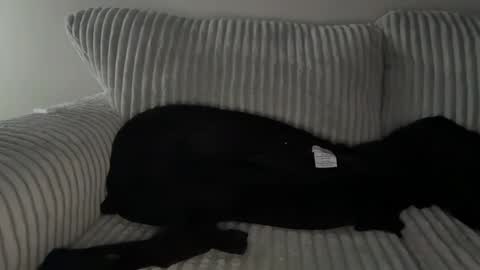 Snapshot of mrryanvoss chatting on 12/30/24, 10:01 Mr Ryan Voss online show from 12/30/24, 10:01