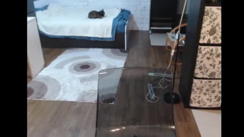 Sasha online show from 03/11/25, 03:23