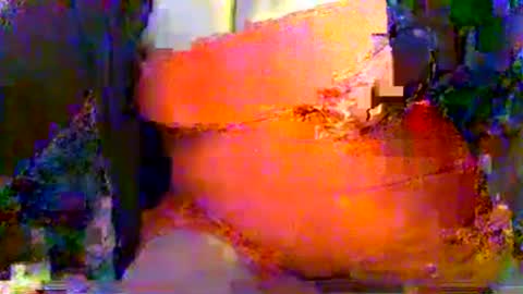 Mrs Venus online show from 07/25/26, 10:51