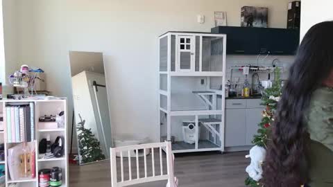 R o r i  SnapChat heyroriv2 wednesday - sunday Noon oclock mountain - 5pm mountain online show from 10/25/25, 06:35