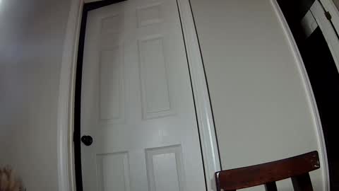 Snapshot of ms_queen chatting on 12/02/24, 03:37 missqueenbbw online show from 12/02/24, 03:37