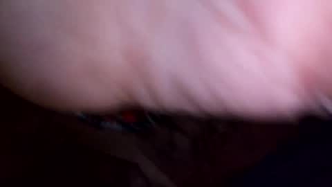 mtnclimber1 online show from 04/21/26, 06:09