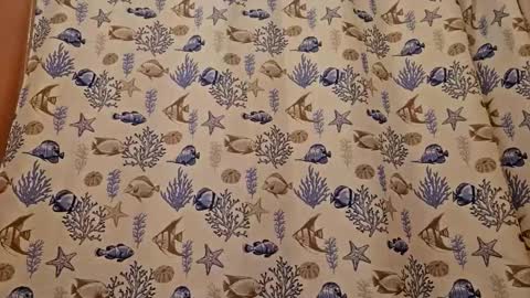 Muffdiver online show from 03/26/26, 07:41