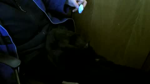 muller520 online show from 01/08/26, 04:31