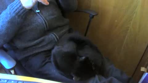 muller520 online show from 04/13/26, 03:50