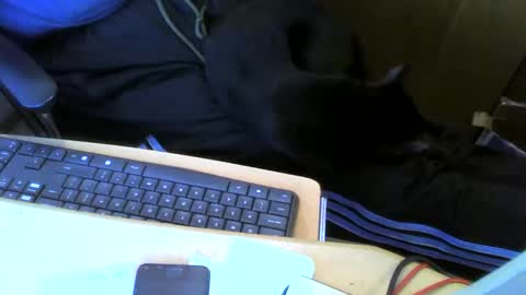 Snapshot of muller520 chatting on 05/13/26, 02:58 muller520 online show from 05/13/26, 02:58