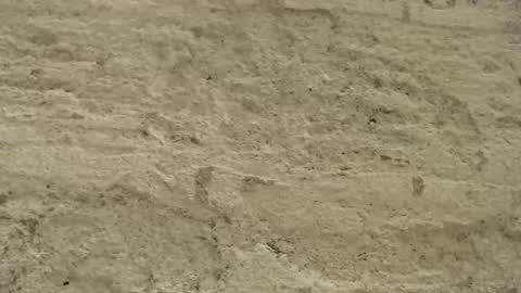 Mullty online show from 12/18/24, 08:36