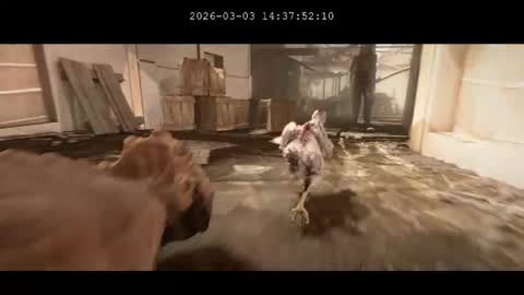 multitest101 online show from 03/03/26, 10:37