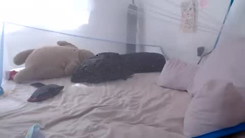 Snapshot of munchi_ chatting on 06/28/26, 02:23 online show from 06/28/26, 02:23