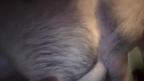 Snapshot of musclehair3 chatting on 02/10/25, 07:17 musclehair3 online show from 02/10/25, 07:17