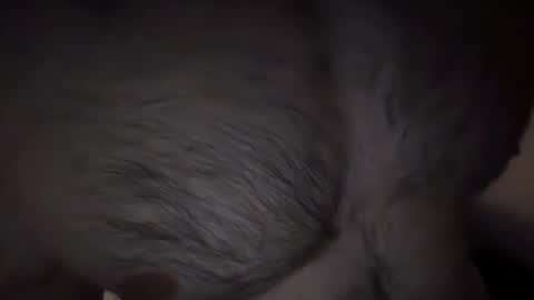 Snapshot of musclehair3 chatting on 02/14/25, 09:53 musclehair3 online show from 02/14/25, 09:53