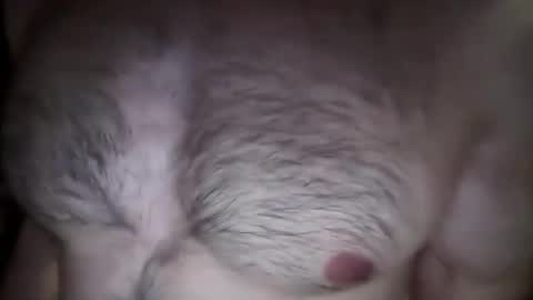 Snapshot of musclehair3 chatting on 02/26/25, 08:22 musclehair3 online show from 02/26/25, 08:22