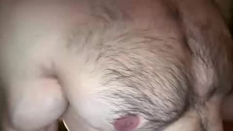 musclehair3 online show from 03/11/26, 08:26