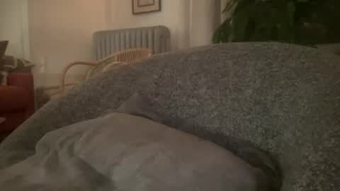 muslgut online show from 02/16/25, 03:04