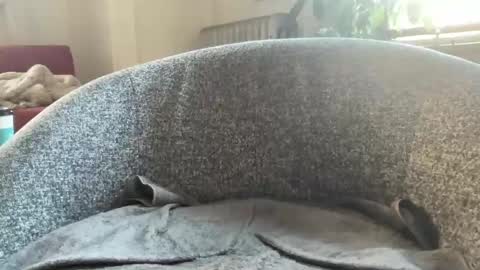 muslgut online show from 03/09/25, 07:05