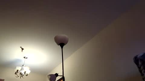 mutualmasturbatorman online show from 04/19/26, 04:28