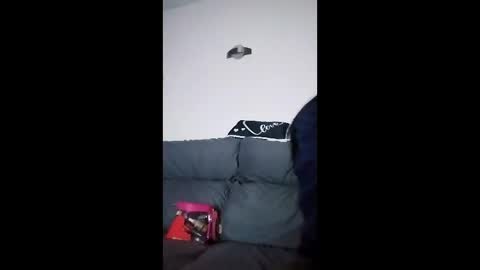 Snapshot of mweed95 chatting on 12/04/25, 05:06 mweed95 online show from 12/04/25, 05:06