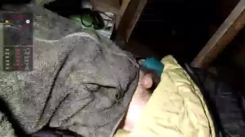 Snapshot of mxdnxss chatting on 09/30/25, 05:12 Maty online show from 09/30/25, 05:12