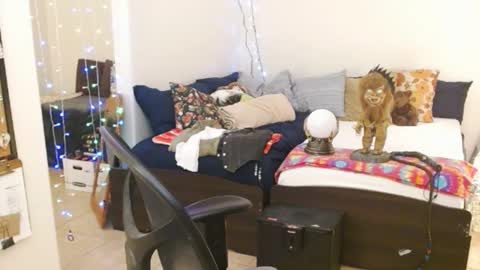 Snapshot of mycock4u247 chatting on 02/14/25, 05:41 LA MARIPOSA DE MARICOPA online show from 02/14/25, 05:41