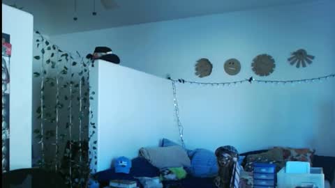 Snapshot of mycock4u247 chatting on 03/02/25, 09:43 LA MARIPOSA DE MARICOPA online show from 03/02/25, 09:43