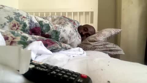 Snapshot of mycockissohard2021 chatting on 02/14/25, 02:54 mycockissohard2021 online show from 02/14/25, 02:54