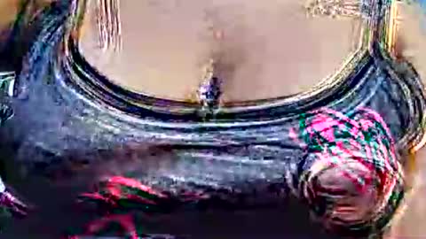 myhoney_hot online show from 02/21/26, 12:28