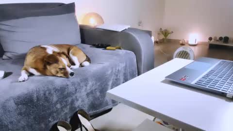 Anda online show from 02/17/25, 10:58