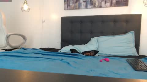 Snapshot of mysterious_girl42 chatting on 01/05/25, 01:26 No Name online show from 01/05/25, 01:26