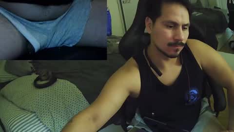 N0ttheFace online show from 11/18/25, 02:28